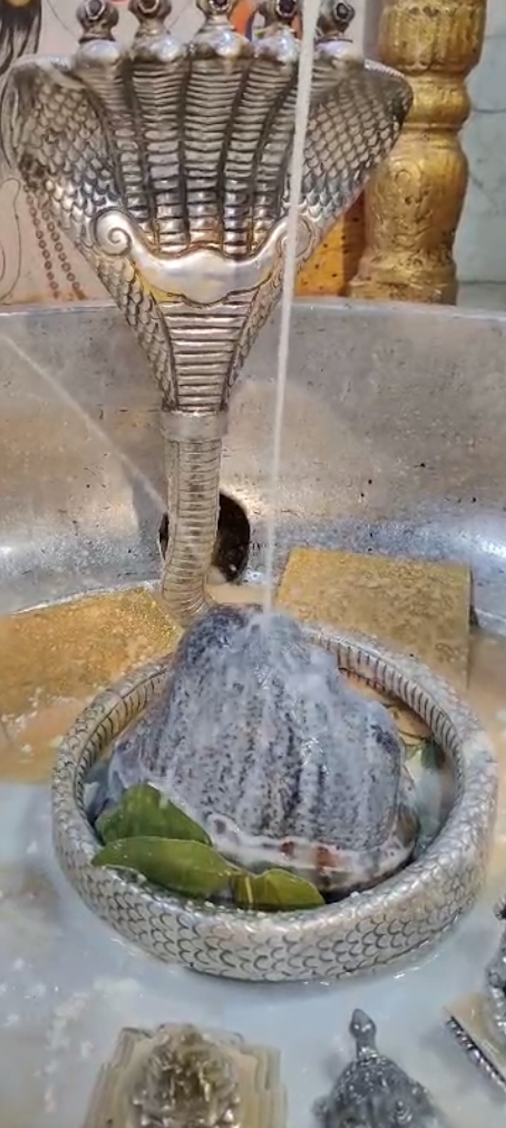 Rudrabhishek to Shree Kubereshwar Mahadev