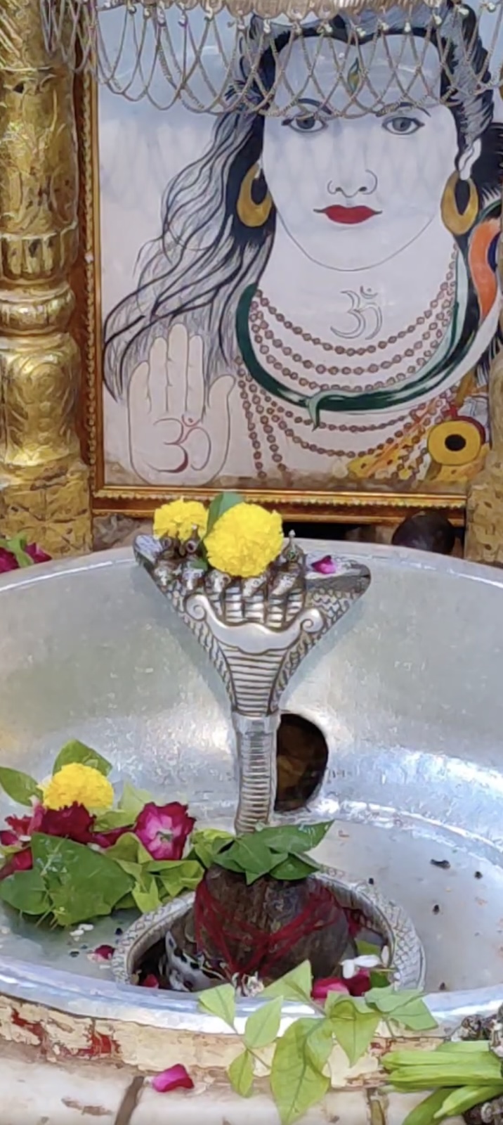 Rudrabhishek to Shree Kubereshwar Mahadev