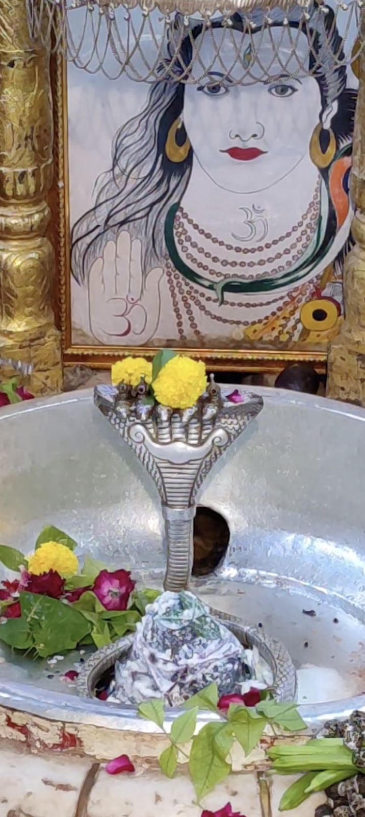 Rudrabhishek to Shree Kubereshwar Mahadev