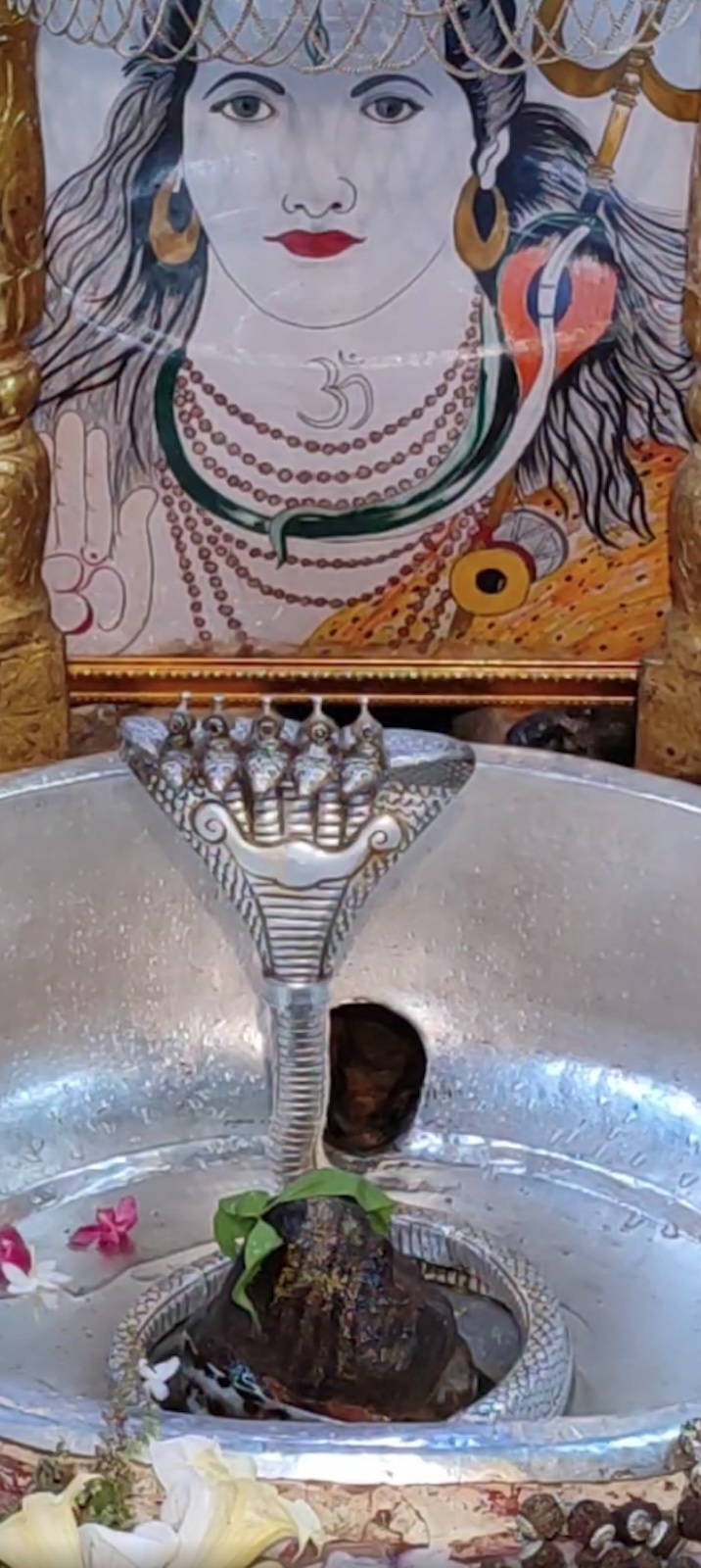Rudrabhishek to Shree Kubereshwar Mahadev