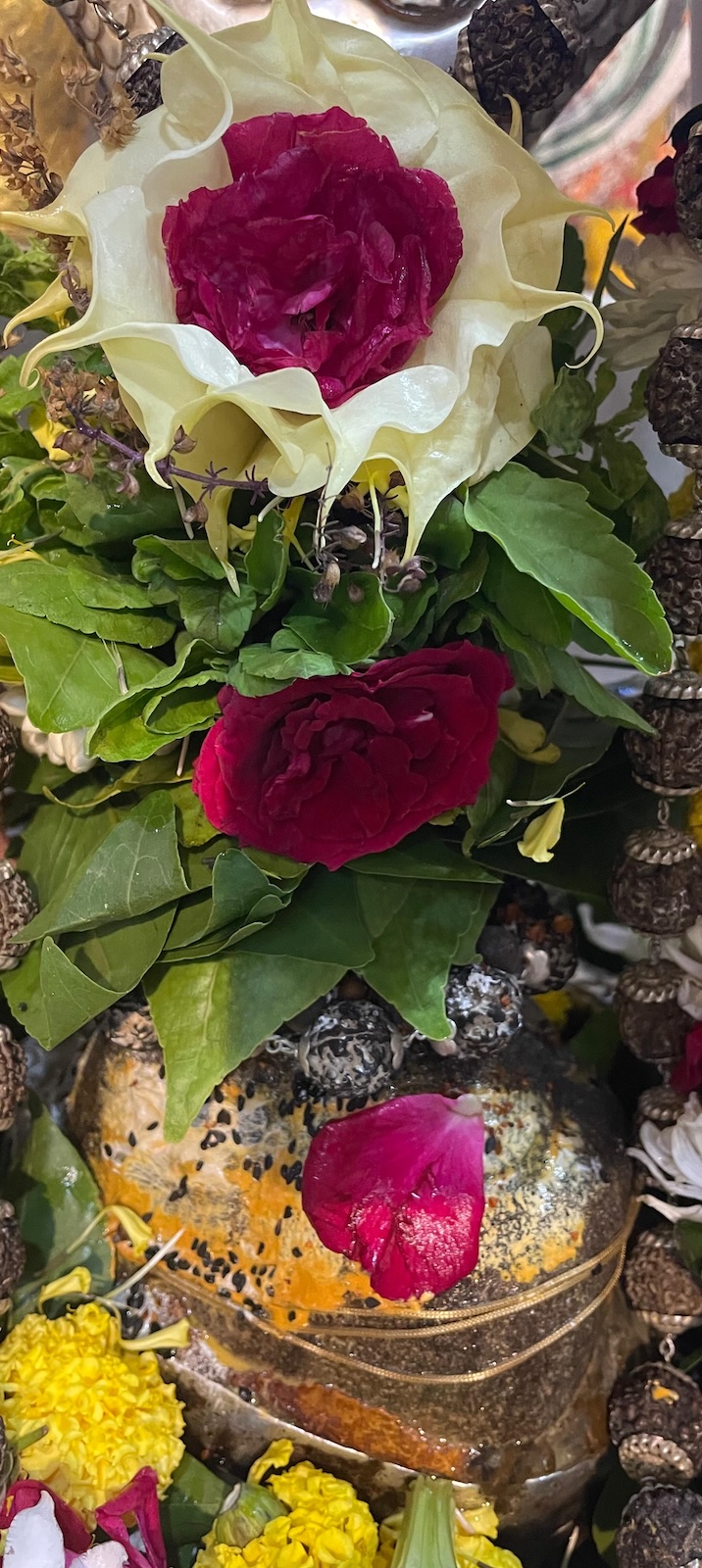 Rudrabhishek to Shree Kubereshwar Mahadev