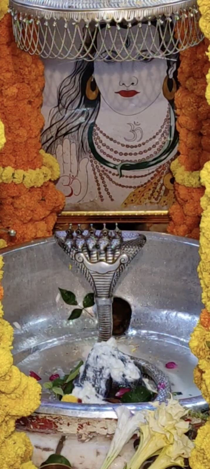 Rudrabhishek to Shree Kubereshwar Mahadev