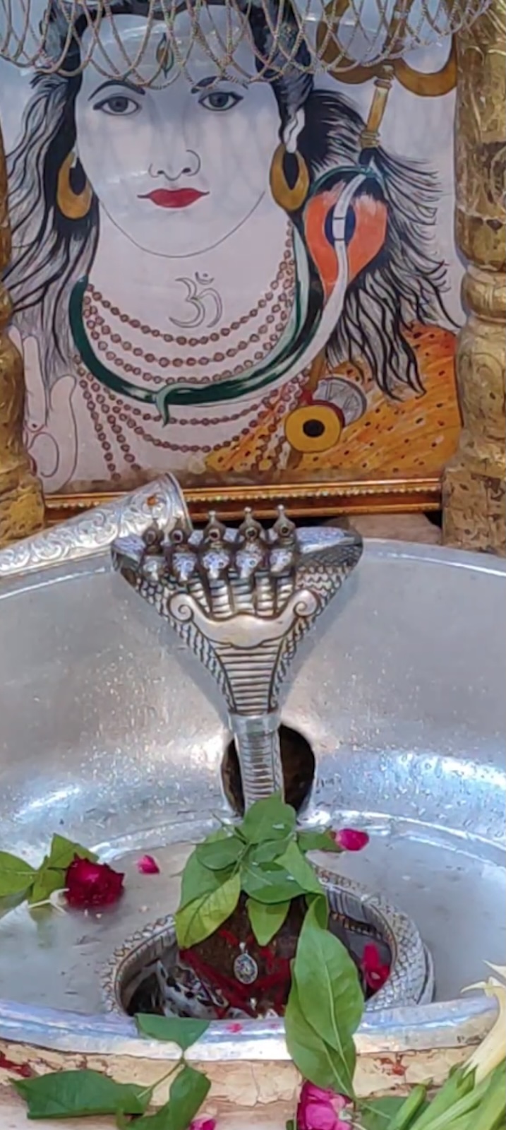 Rudrabhishek to Shree Kubereshwar Mahadev