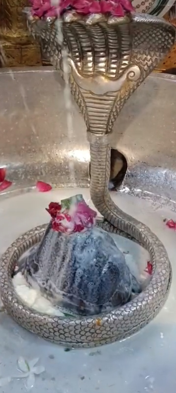 Rudrabhishek to Shree Kubereshwar Mahadev