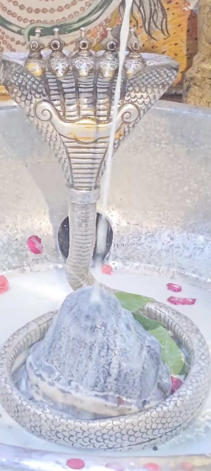 Rudrabhishek to Shree Kubereshwar Mahadev