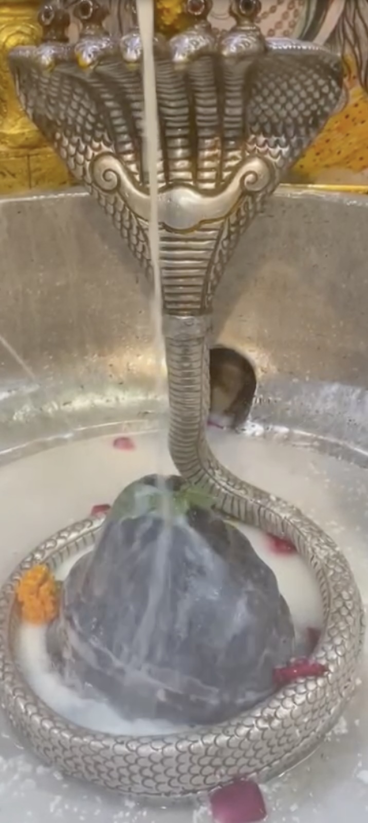 Rudrabhishek to Shree Kubereshwar Mahadev