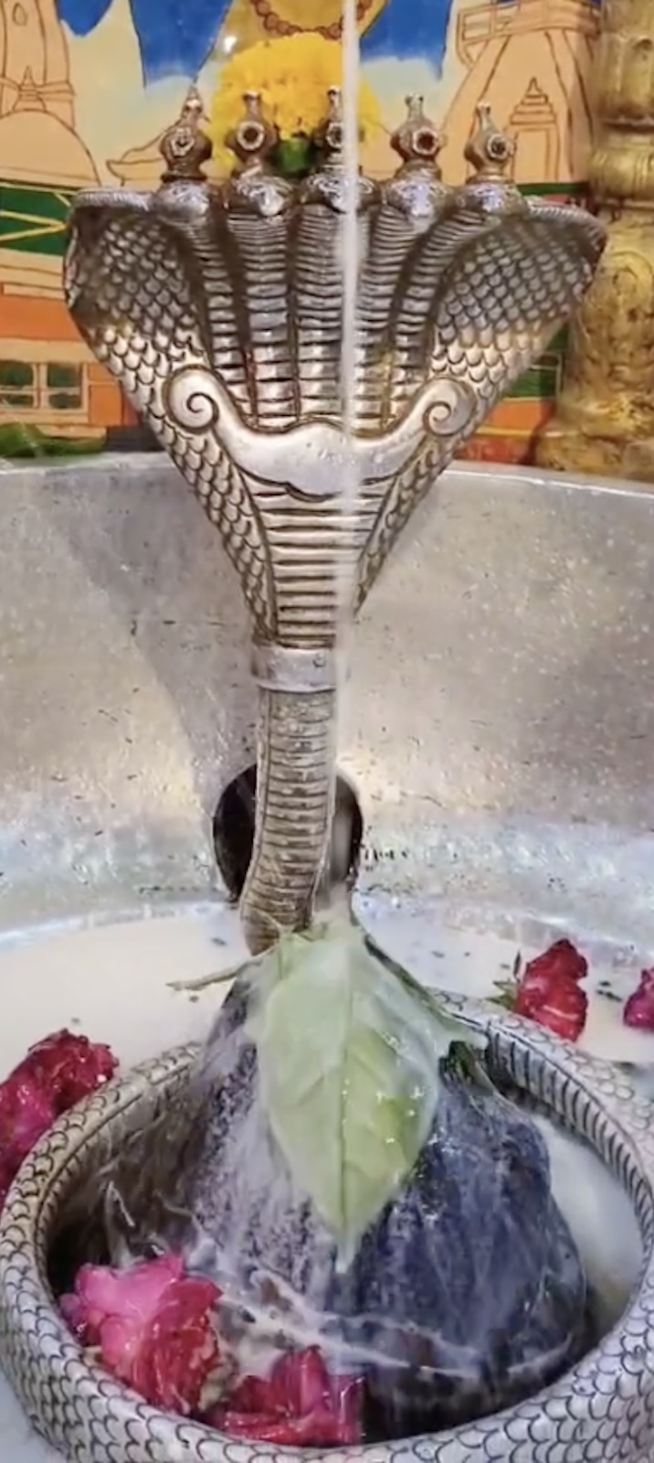 Rudrabhishek to Shree Kubereshwar Mahadev