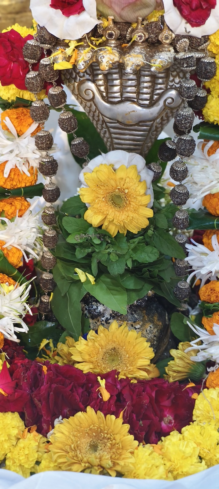 Rudrabhishek to Shree Kubereshwar Mahadev