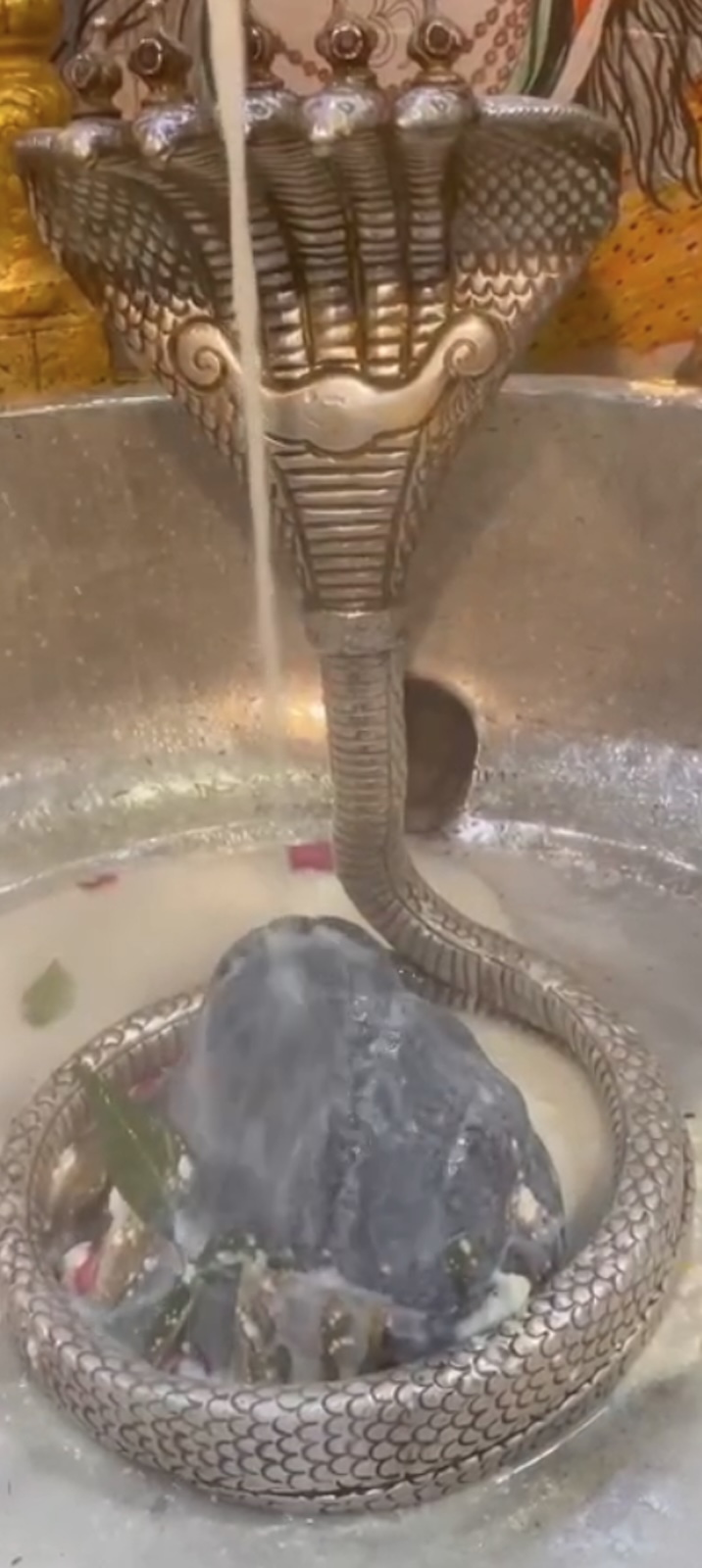 Rudrabhishek to Shree Kubereshwar Mahadev