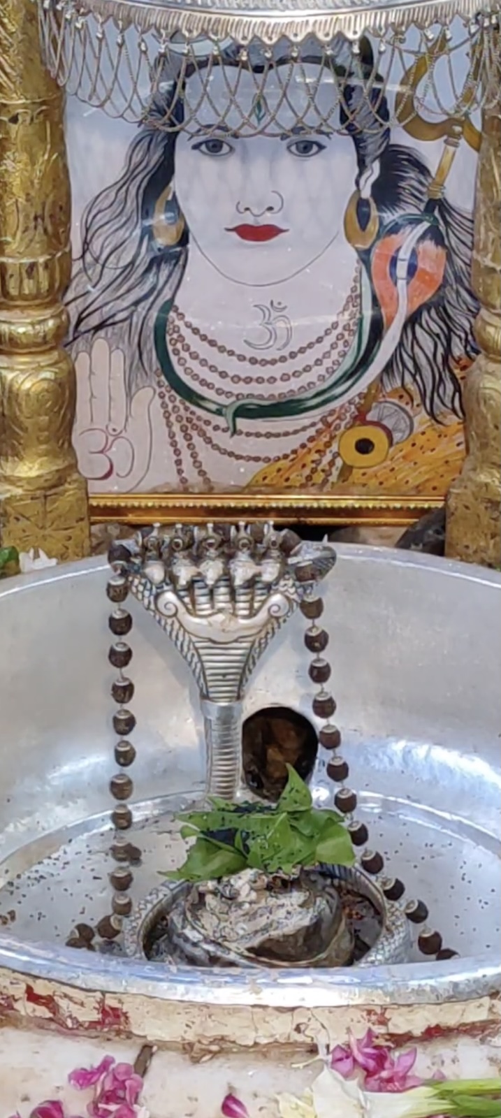 Rudrabhishek to Shree Kubereshwar Mahadev