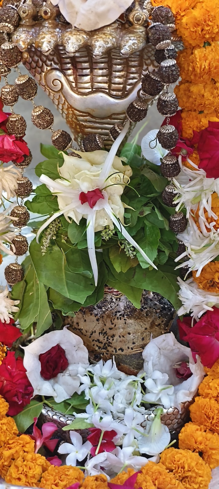 Rudrabhishek to Shree Kubereshwar Mahadev