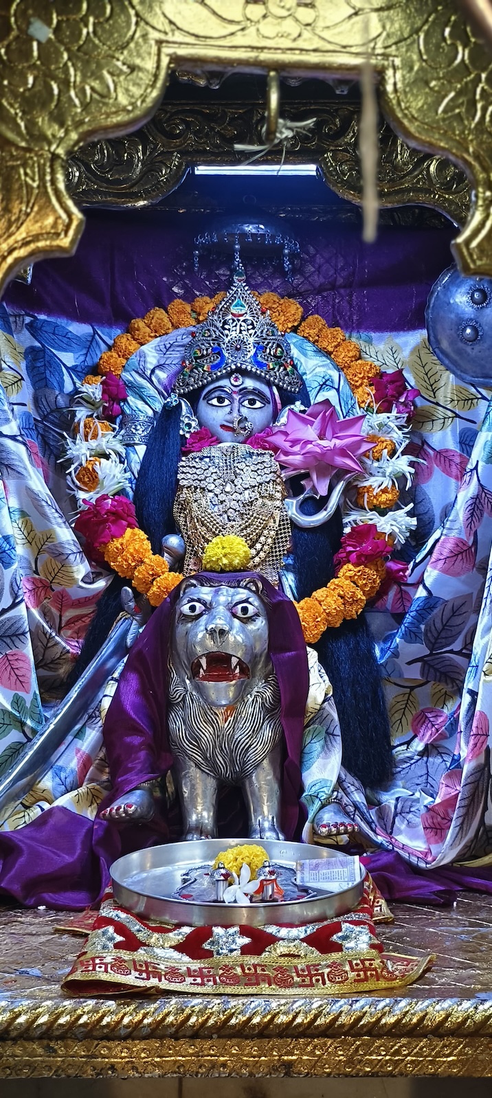 Rudrabhishek to Shree Kubereshwar Mahadev