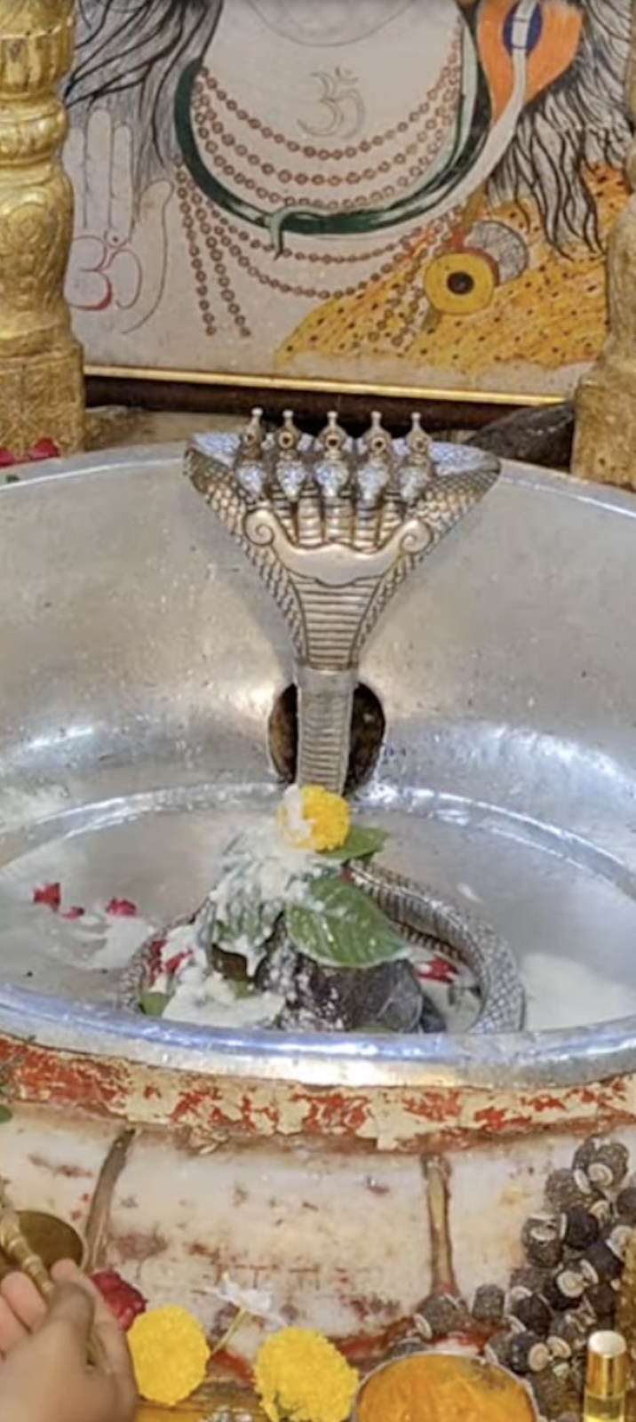 Rudrabhishek to Shree Kubereshwar Mahadev
