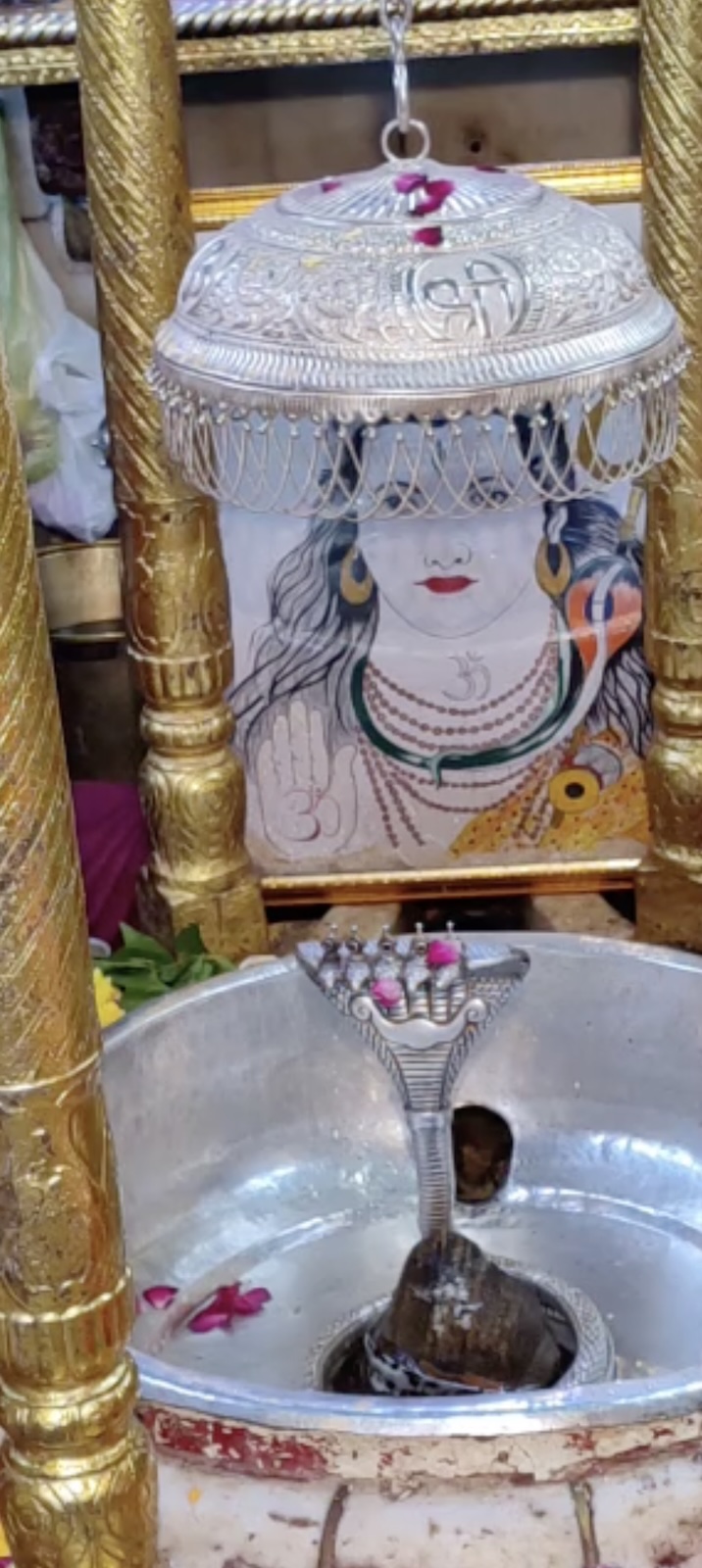 Rudrabhishek to Shree Kubereshwar Mahadev