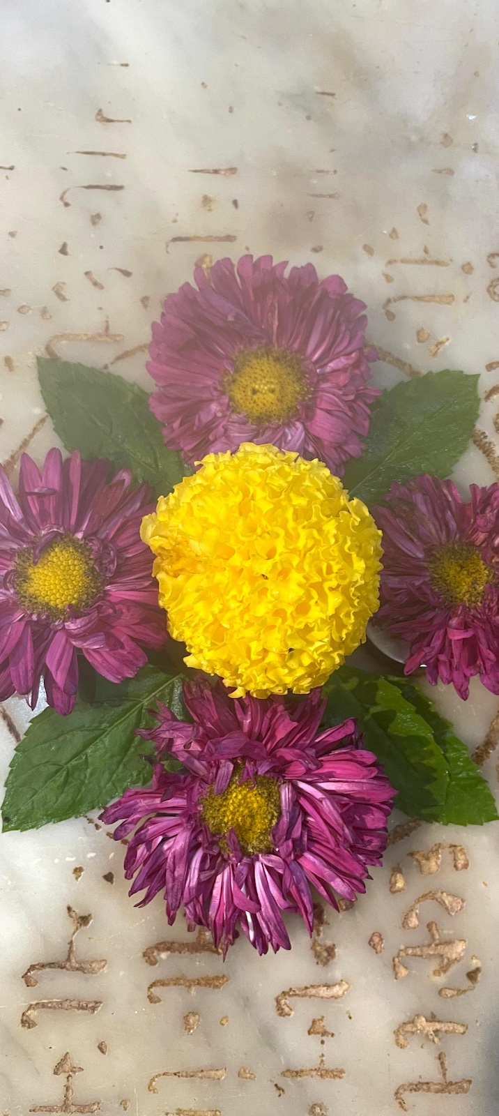 Rudrabhishek to Shree Kubereshwar Mahadev