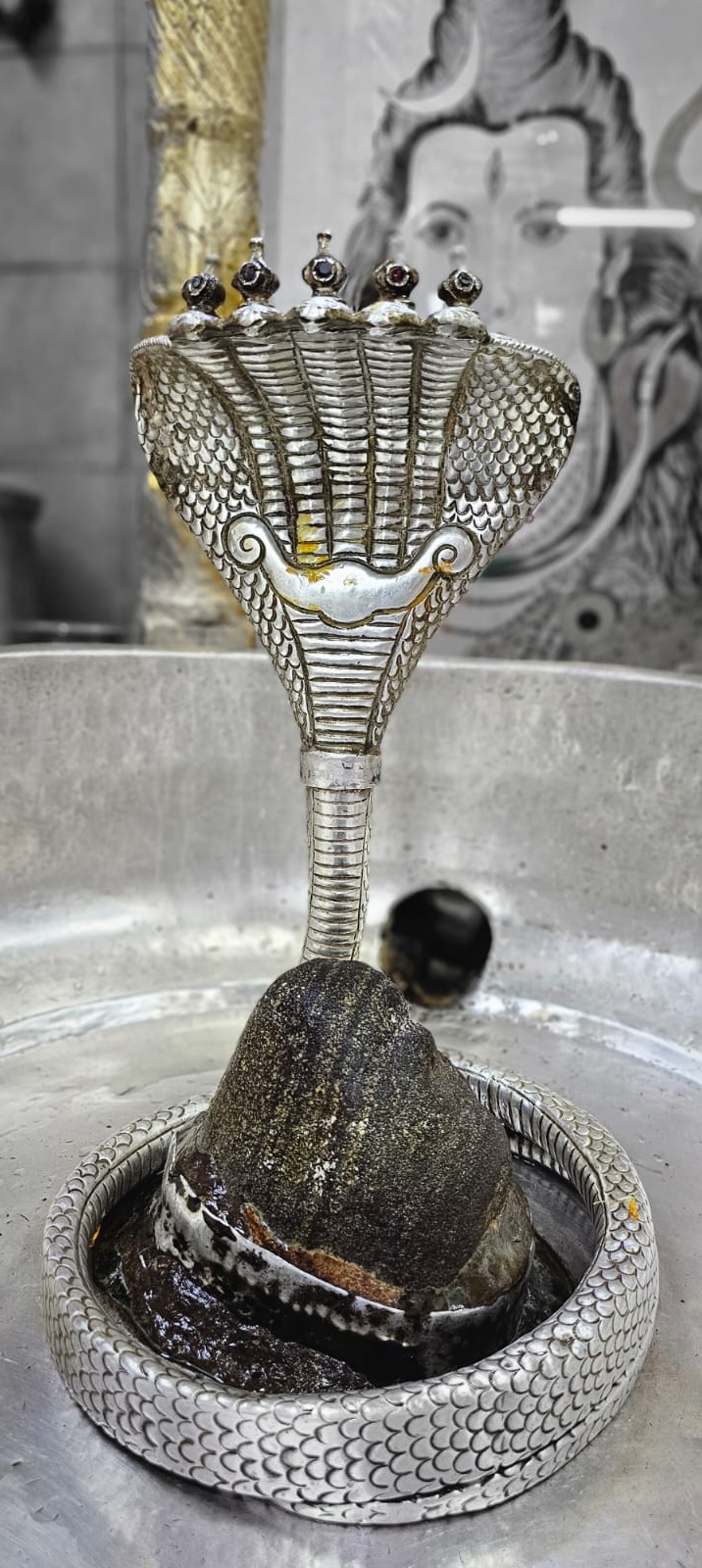 Rudrabhishek to Shree Kubereshwar Mahadev