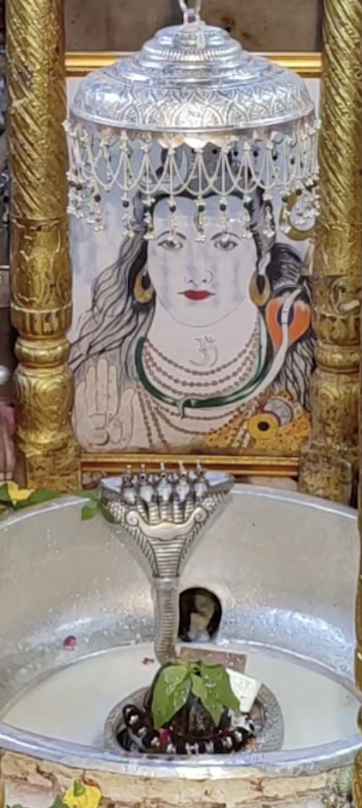 Rudrabhishek to Shree Kubereshwar Mahadev