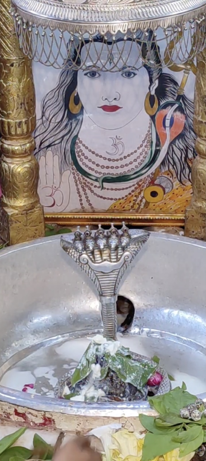 Rudrabhishek to Shree Kubereshwar Mahadev