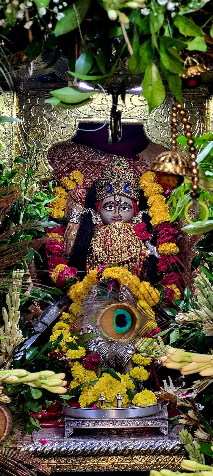 Shangar Darshan Shree Kubereshwar Mahadev