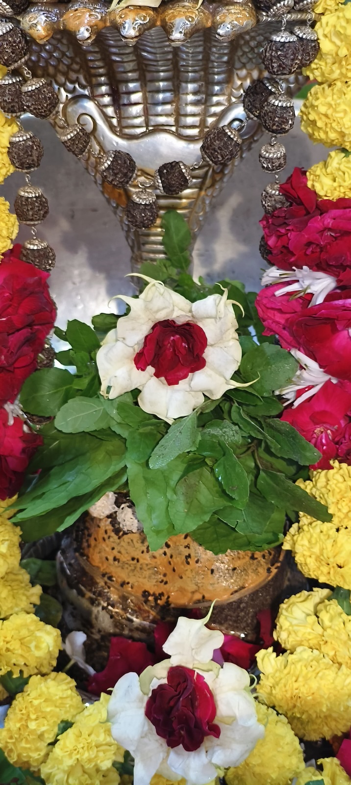 Rudrabhishek to Shree Kubereshwar Mahadev