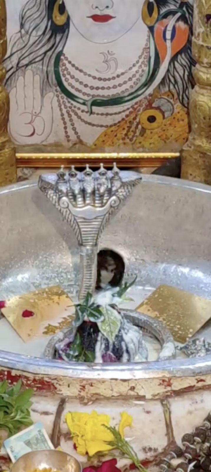 Rudrabhishek to Shree Kubereshwar Mahadev