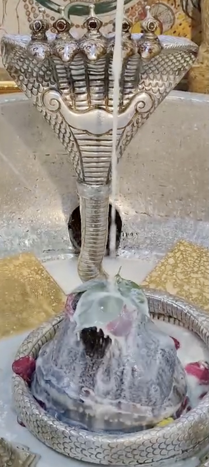 Rudrabhishek to Shree Kubereshwar Mahadev