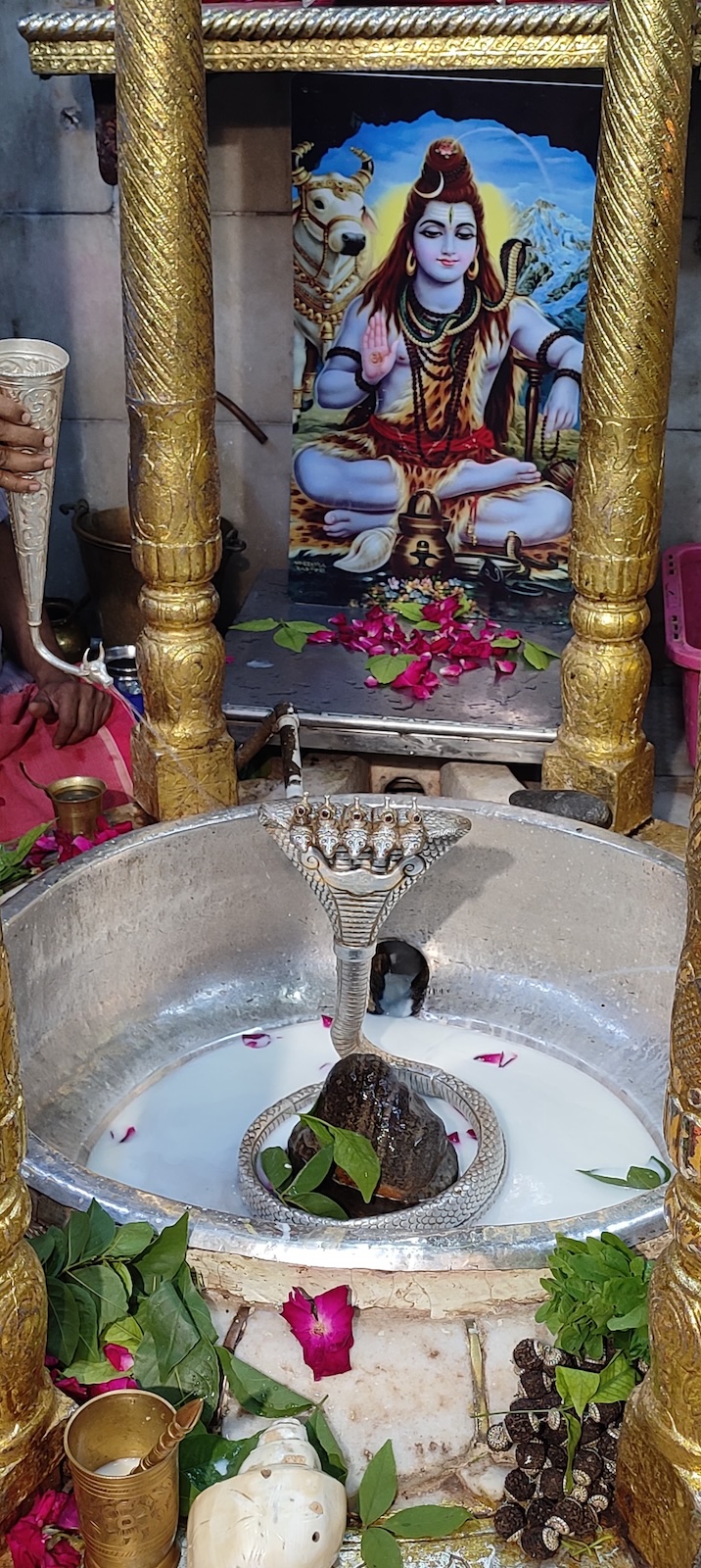 Rudrabhishek to Shree Kubereshwar Mahadev