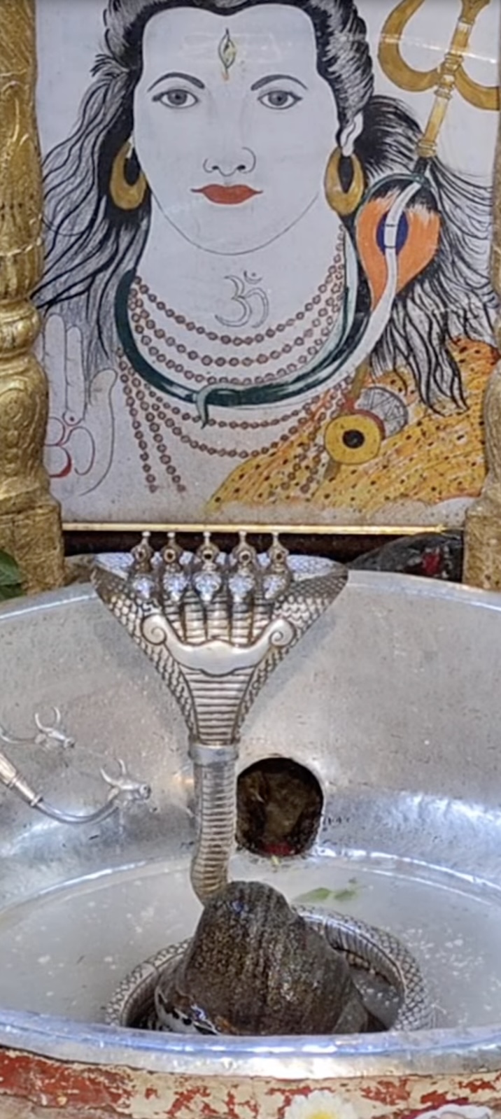 Rudrabhishek to Shree Kubereshwar Mahadev