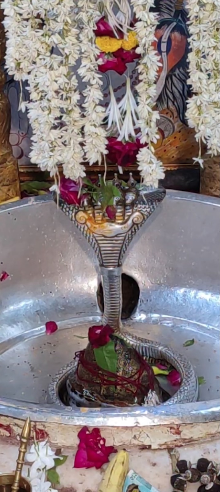 Rudrabhishek to Shree Kubereshwar Mahadev
