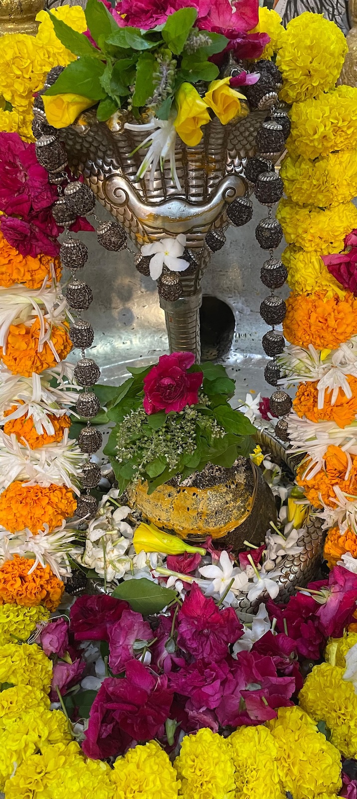 Rudrabhishek to Shree Kubereshwar Mahadev