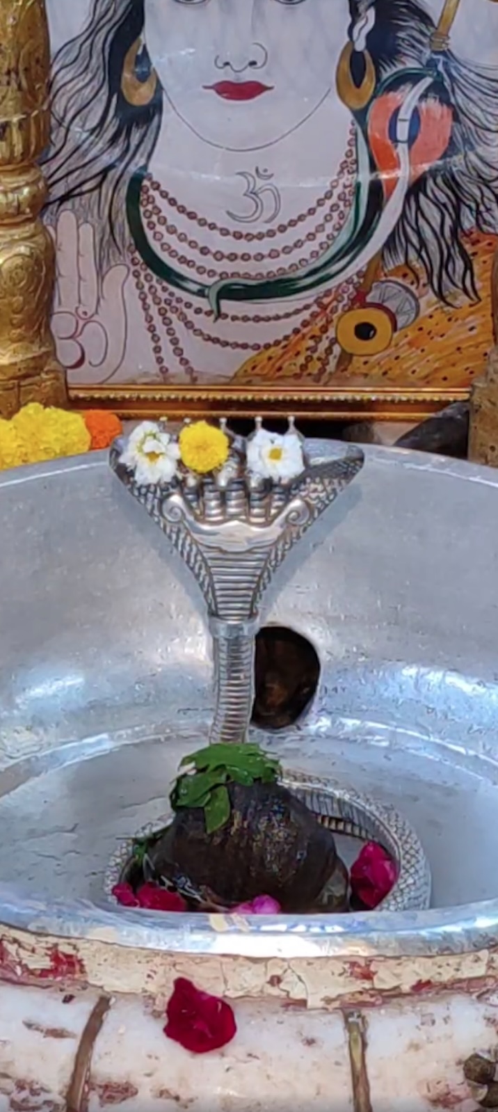 Rudrabhishek to Shree Kubereshwar Mahadev