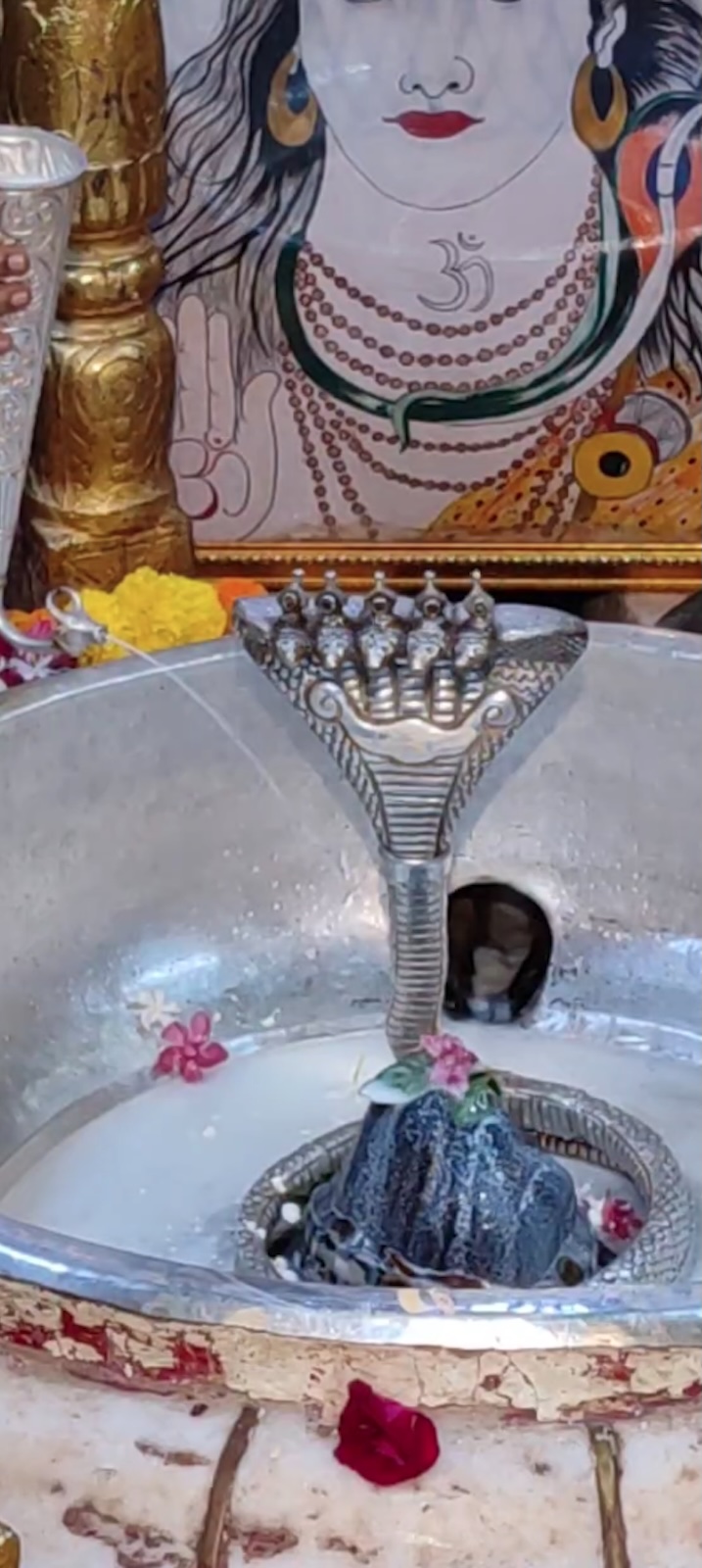 Rudrabhishek to Shree Kubereshwar Mahadev