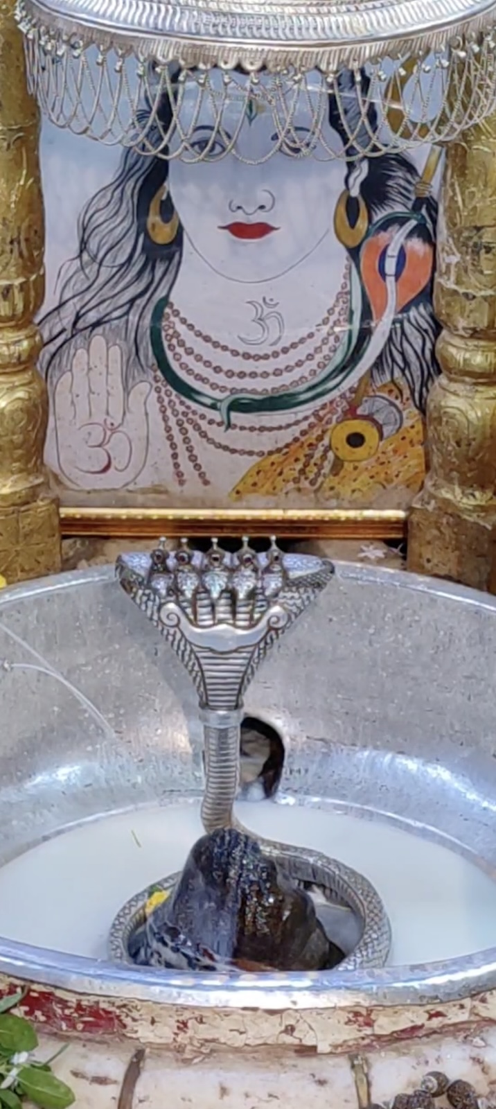 Rudrabhishek to Shree Kubereshwar Mahadev