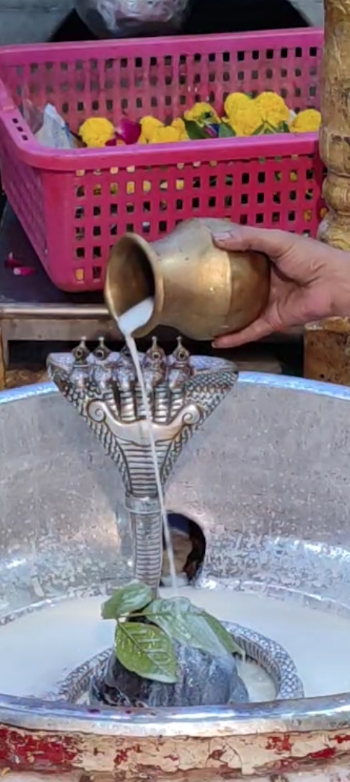 Rudrabhishek to Shree Kubereshwar Mahadev