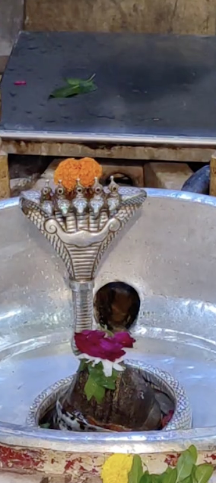 Rudrabhishek to Shree Kubereshwar Mahadev