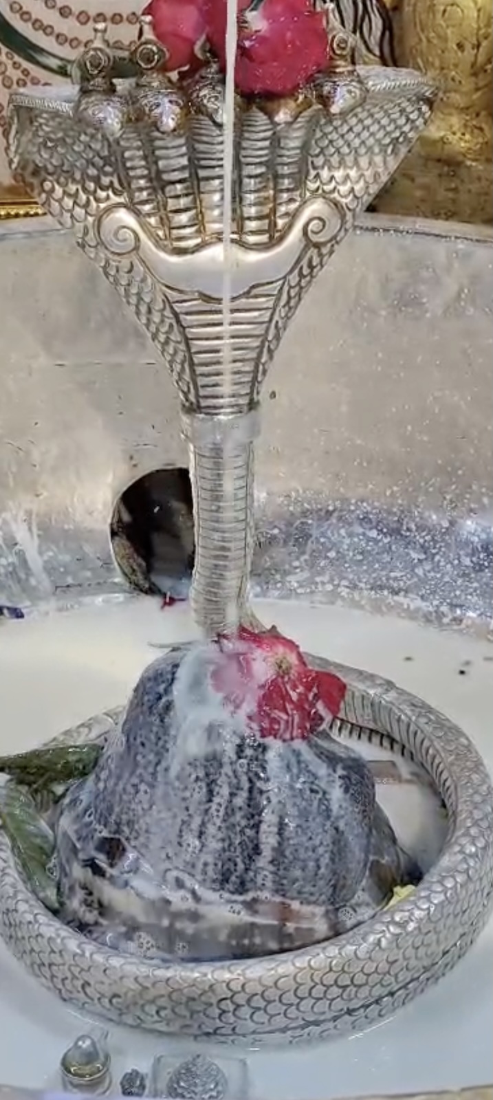 Rudrabhishek to Shree Kubereshwar Mahadev