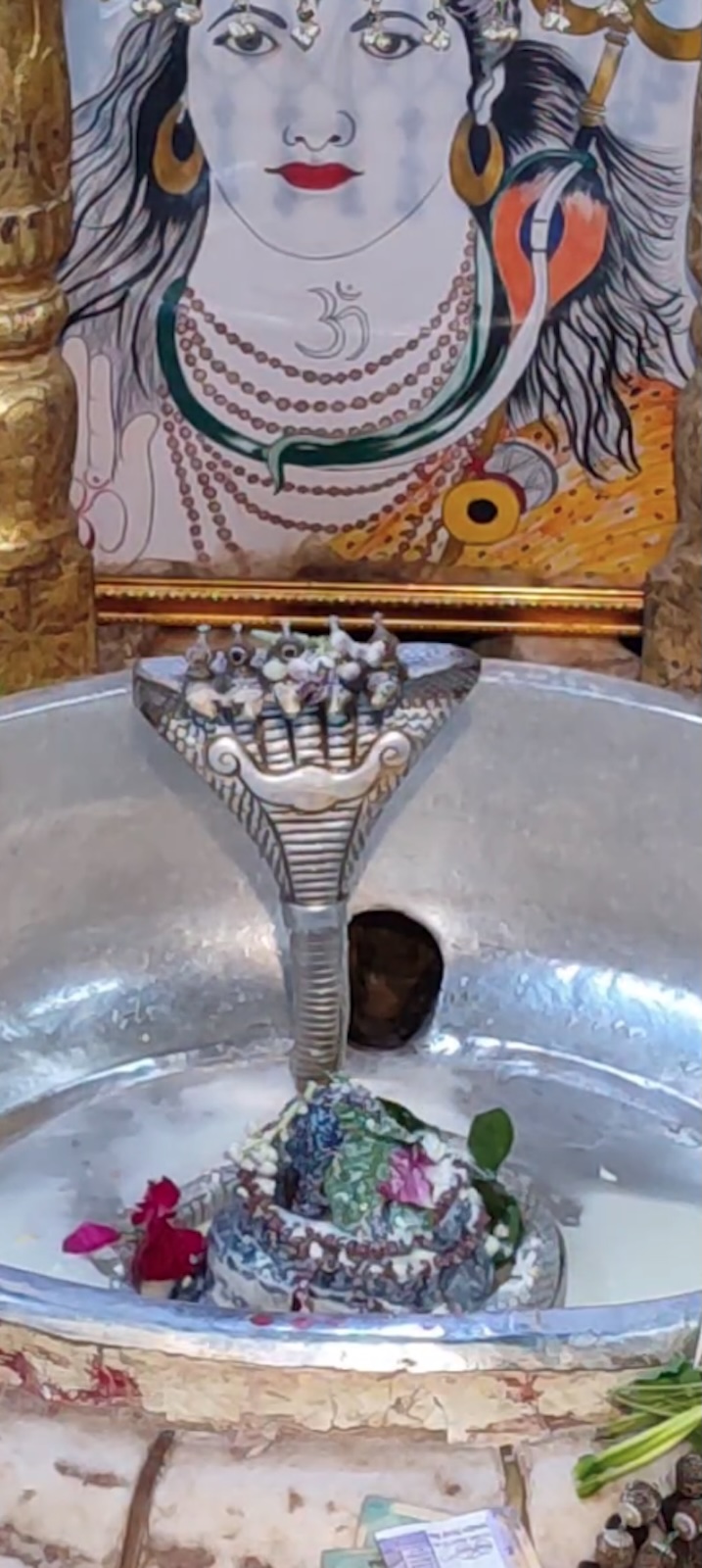 Rudrabhishek to Shree Kubereshwar Mahadev
