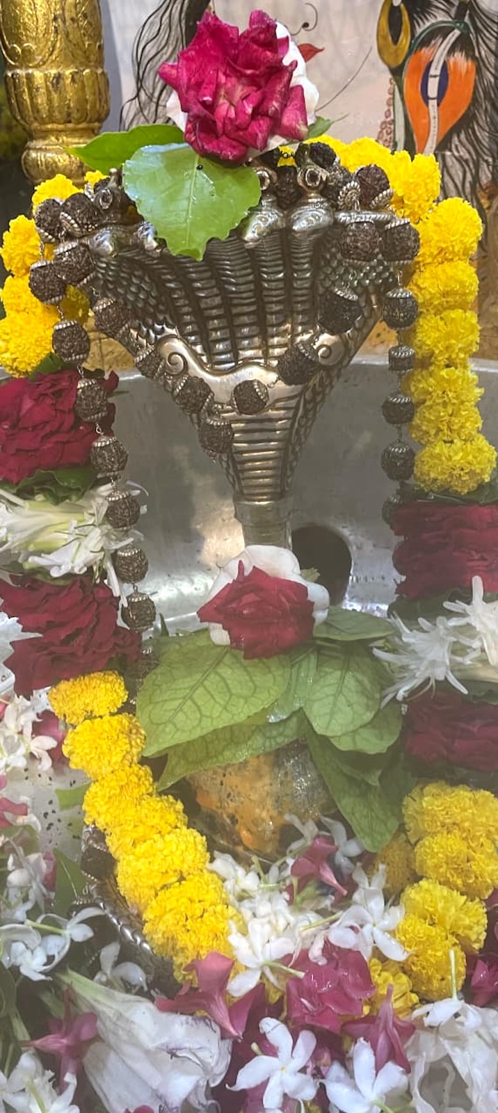 Rudrabhishek to Shree Kubereshwar Mahadev