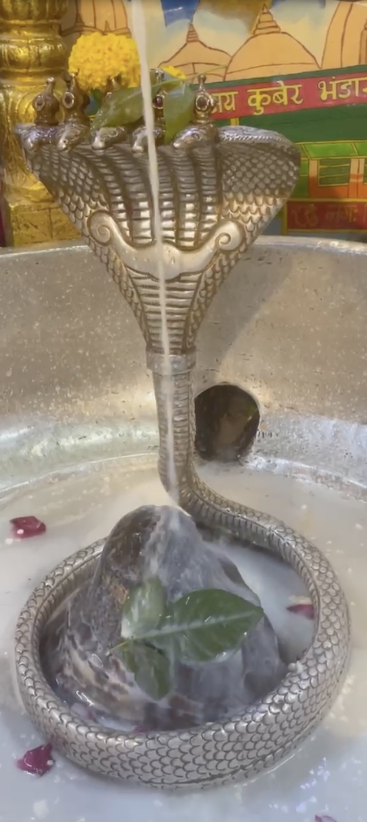 Rudrabhishek to Shree Kubereshwar Mahadev