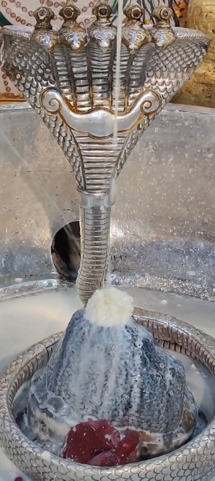 Rudrabhishek to Shree Kubereshwar Mahadev