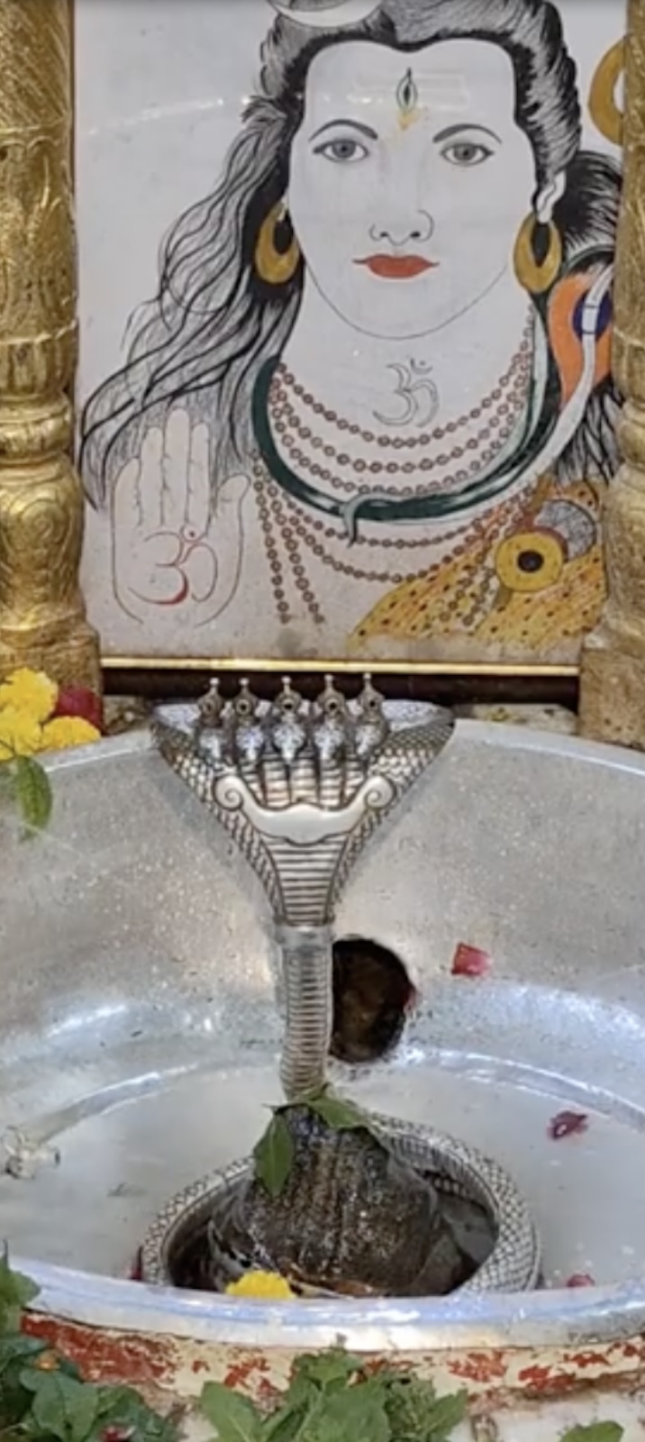 Rudrabhishek to Shree Kubereshwar Mahadev