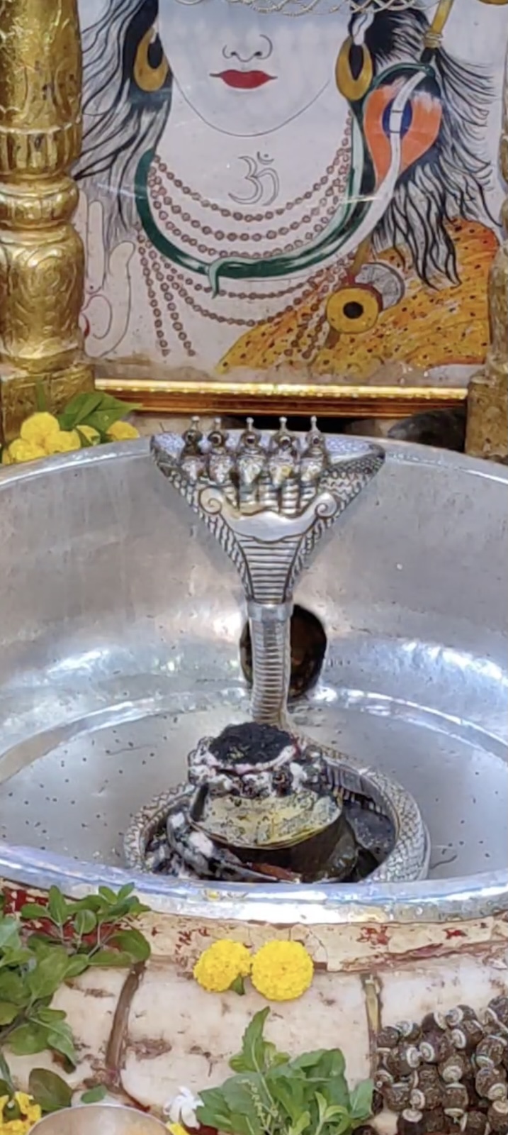 Rudrabhishek to Shree Kubereshwar Mahadev