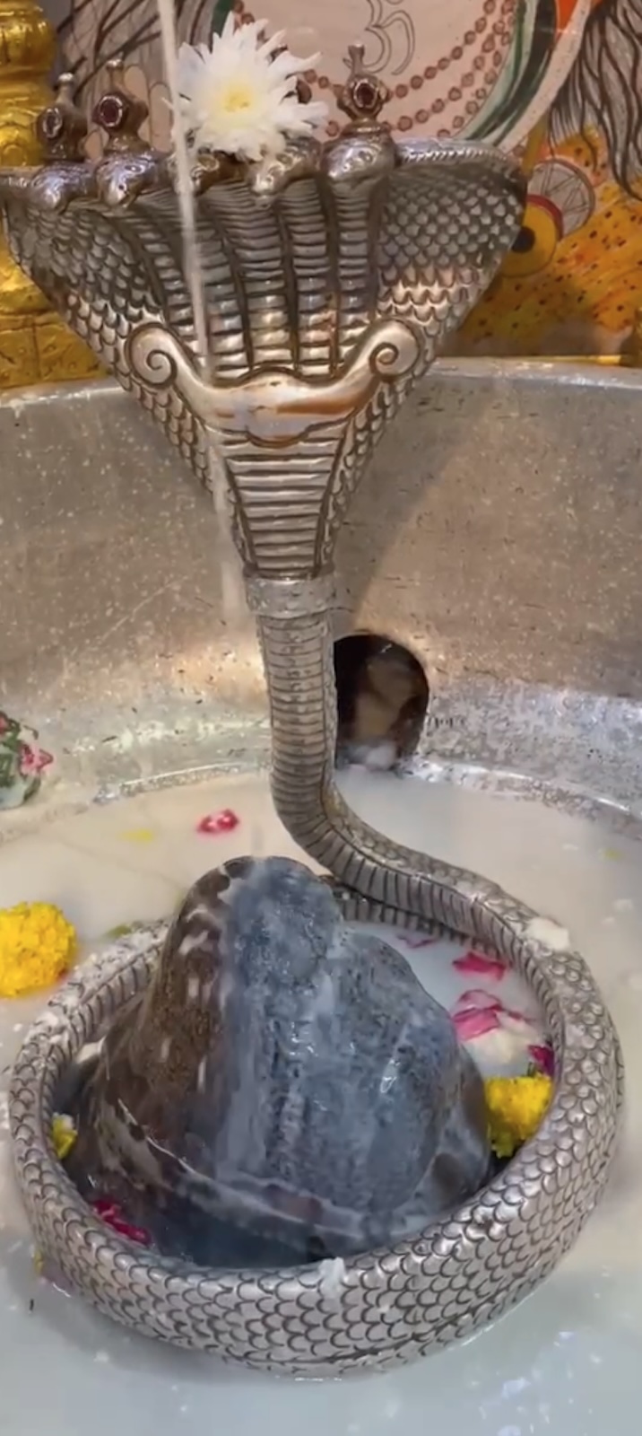 Rudrabhishek to Shree Kubereshwar Mahadev