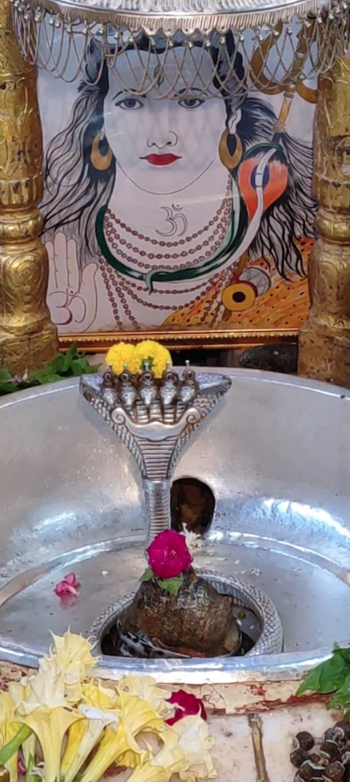 Rudrabhishek to Shree Kubereshwar Mahadev