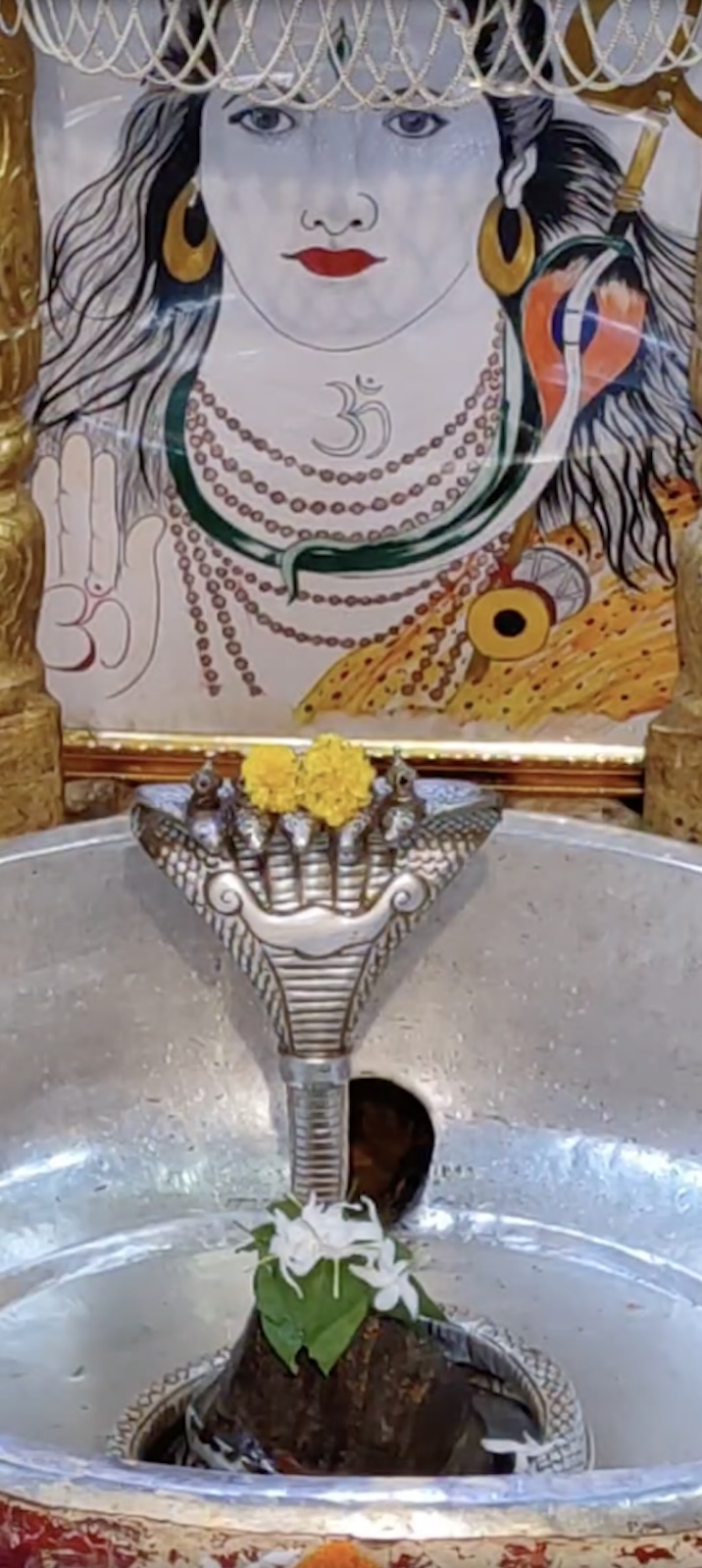 Rudrabhishek to Shree Kubereshwar Mahadev