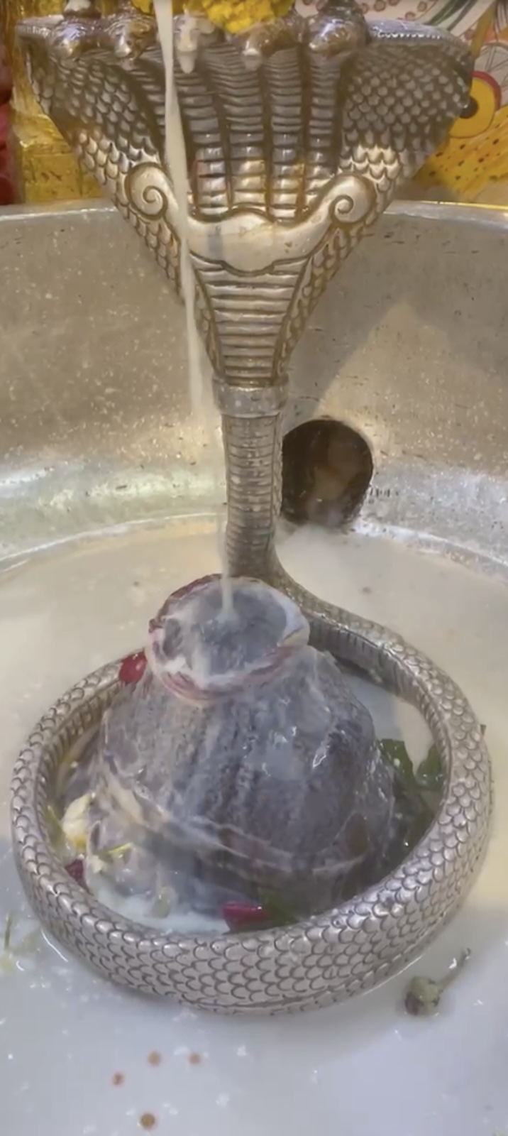 Rudrabhishek to Shree Kubereshwar Mahadev