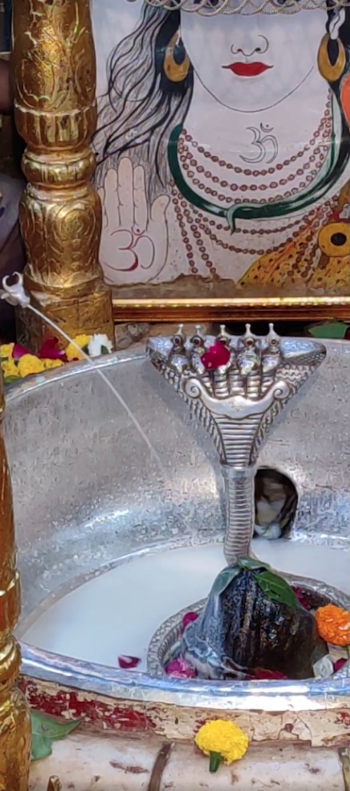 Rudrabhishek to Shree Kubereshwar Mahadev