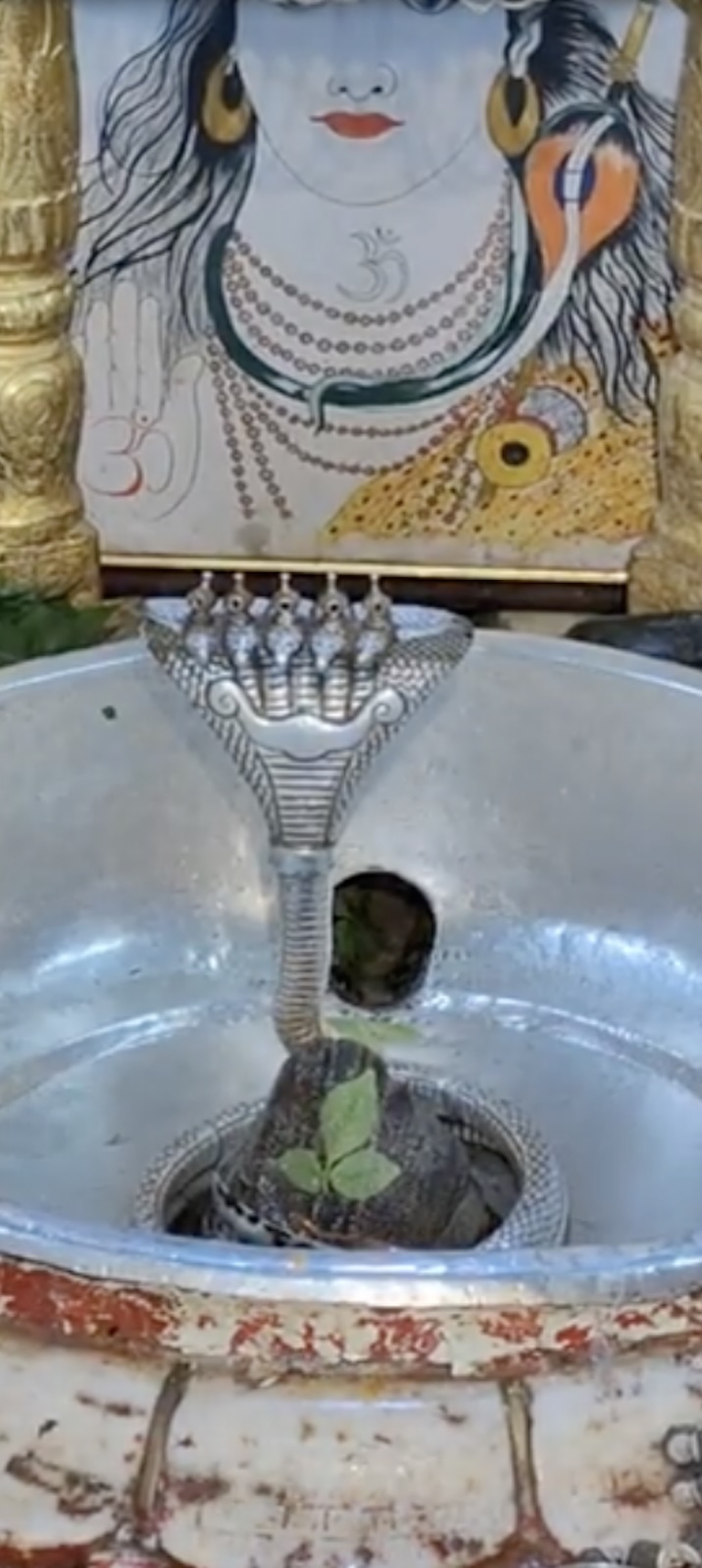 Rudrabhishek to Shree Kubereshwar Mahadev