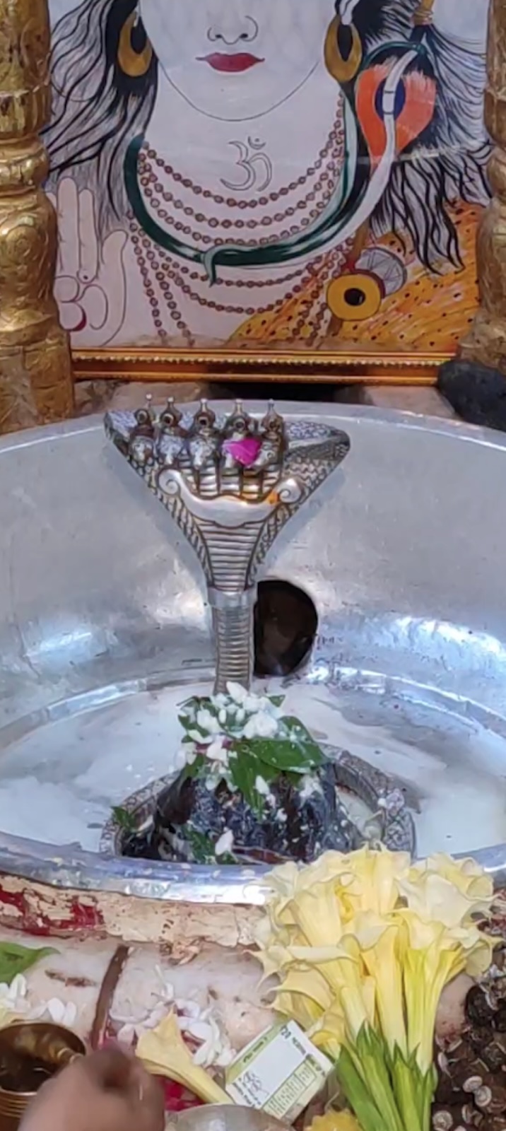 Rudrabhishek to Shree Kubereshwar Mahadev