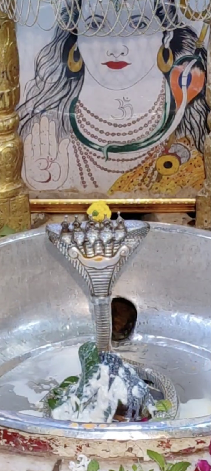 Rudrabhishek to Shree Kubereshwar Mahadev
